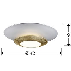 Hole - Oro - Plafón - Schuller - PerLighting Tienda de lamparas e iluminación online