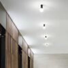 Petit - Plafón - Blanco - Ideal Lux - PerLighting Tienda de lamparas e iluminación online