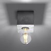Plafón de techo Abel Cemento - Sollux Lighting - PerLighting Tienda de lamparas e iluminación online