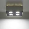 Plafón de techo Mono II (4 luces) - Sollux Lighting - PerLighting Tienda de lamparas e iluminación online