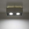 Plafón de techo Mono II (2 luces) - Sollux Lighting - PerLighting Tienda de lamparas e iluminación online