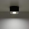 Plafón de techo Mono (1 luz) - Sollux Lighting - PerLighting Tienda de lamparas e iluminación online